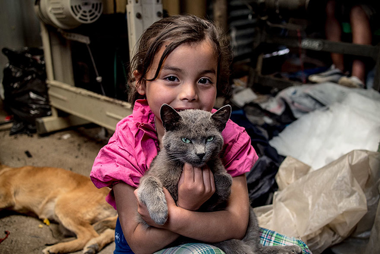 dollar rich poor kids favorite toys