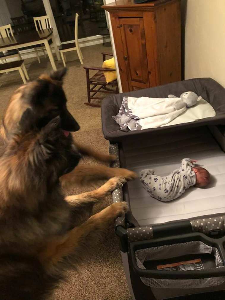 adorable kids dogs friendship