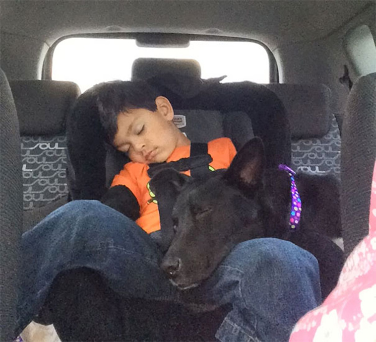 adorable kids dogs friendship
