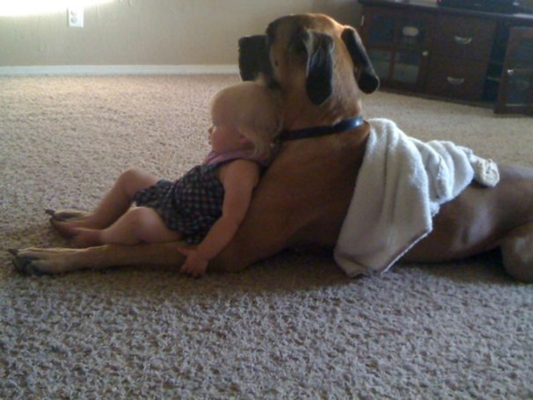 adorable kids dogs friendship