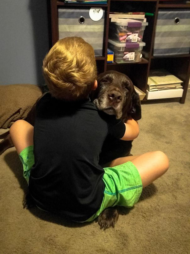adorable kids dogs friendship