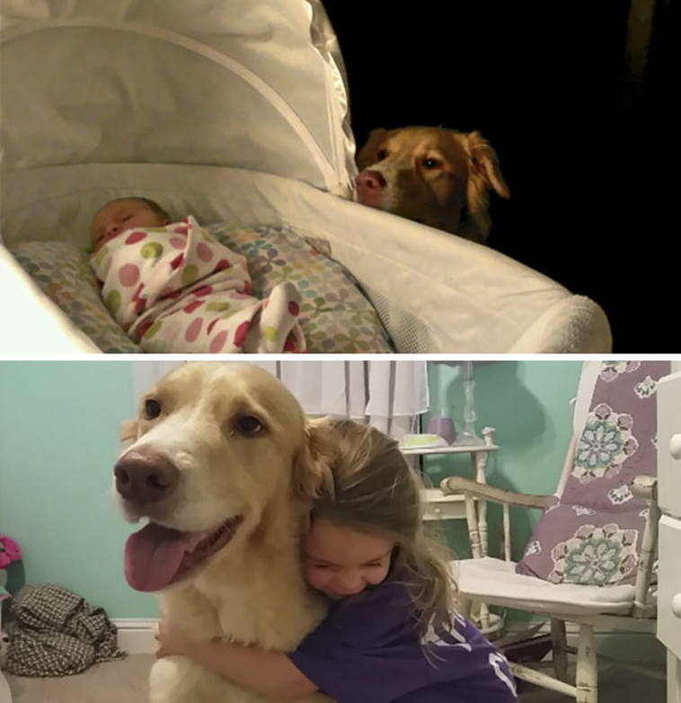 adorable kids dogs friendship
