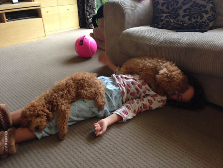 adorable kids dogs friendship