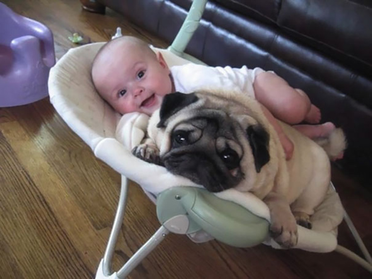 adorable kids dogs friendship
