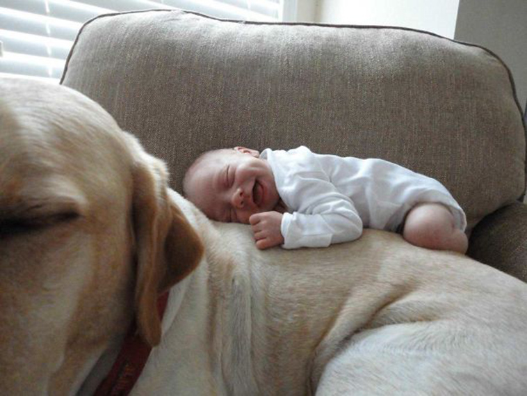 adorable kids dogs friendship