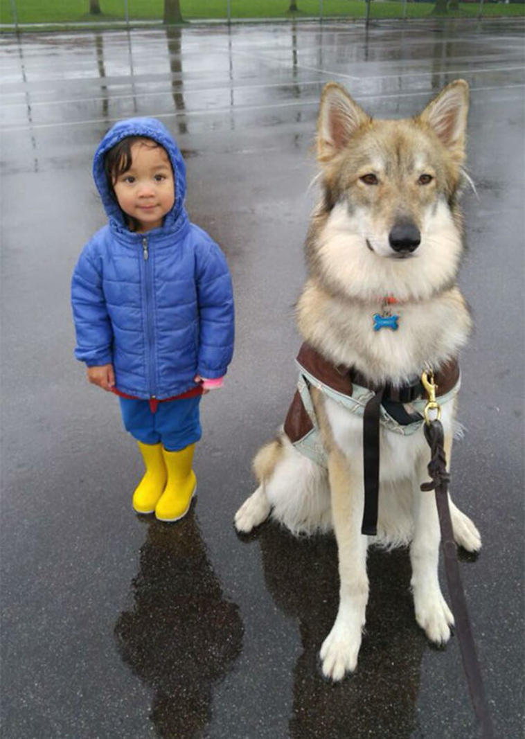 adorable kids dogs friendship