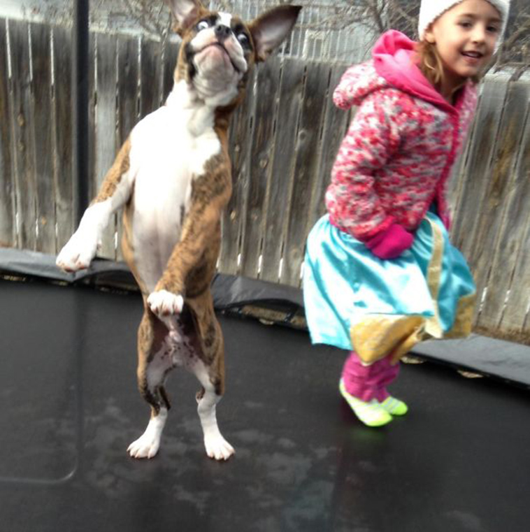 adorable kids dogs friendship