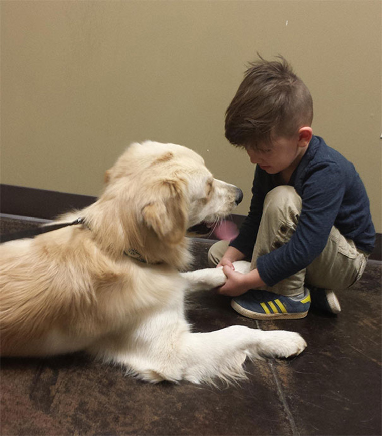 adorable kids dogs friendship