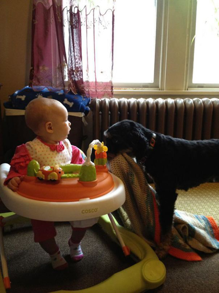 adorable kids dogs friendship