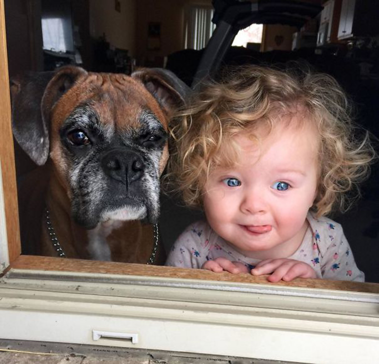 adorable kids dogs friendship
