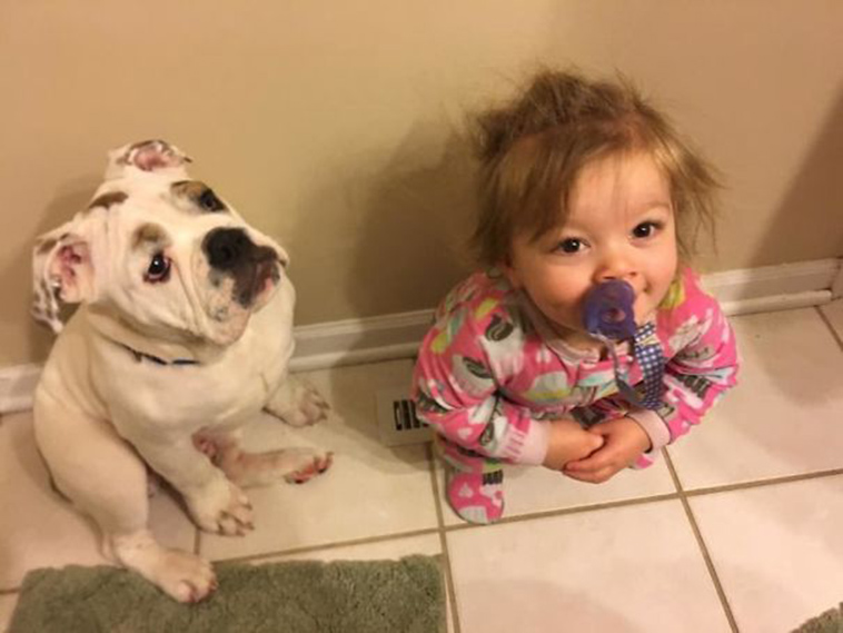 adorable kids dogs friendship