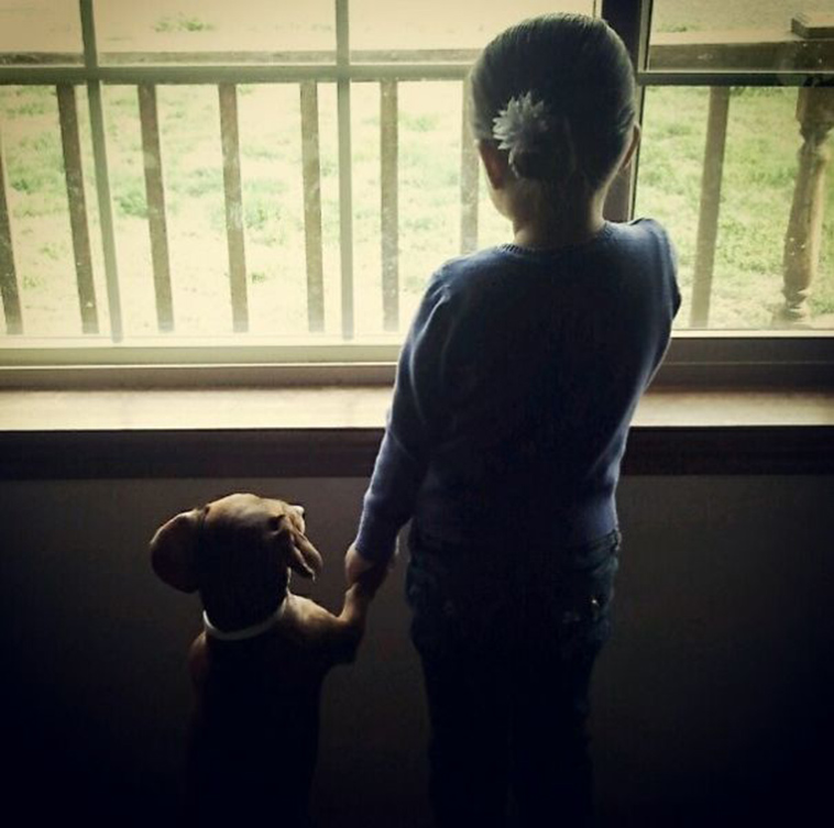 adorable kids dogs friendship