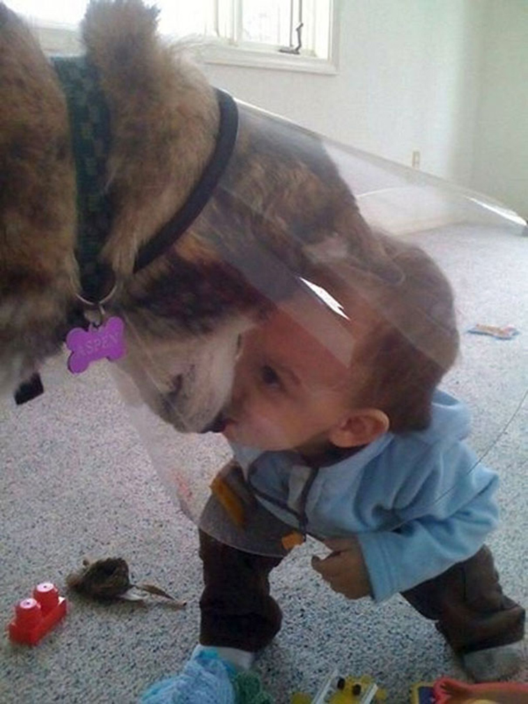 adorable kids dogs friendship