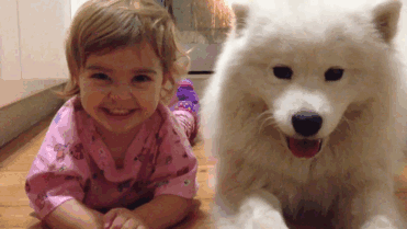 adorable kids dogs friendship