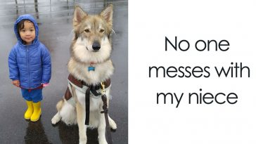 adorable kids dogs friendship