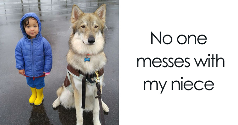 adorable kids dogs friendship