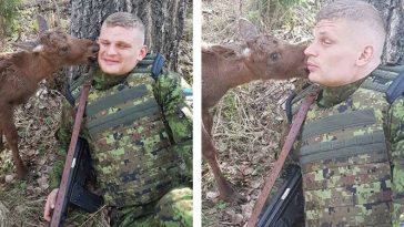 Estonian Soldier Saved a Baby Moose