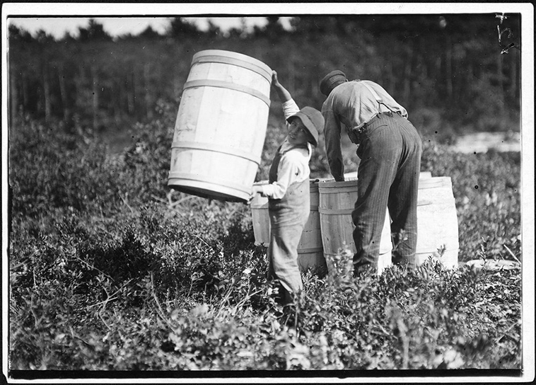 child labor usa