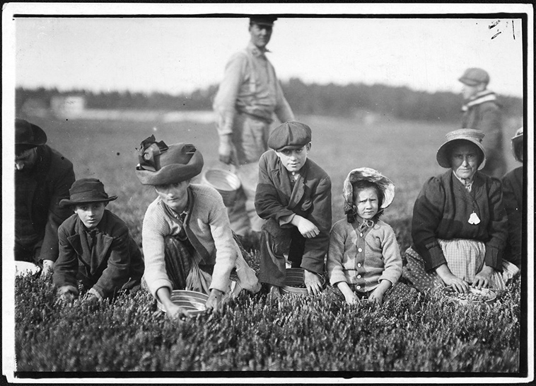 child labor usa