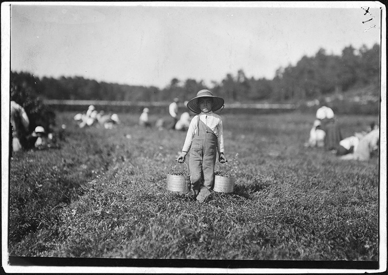 child labor usa