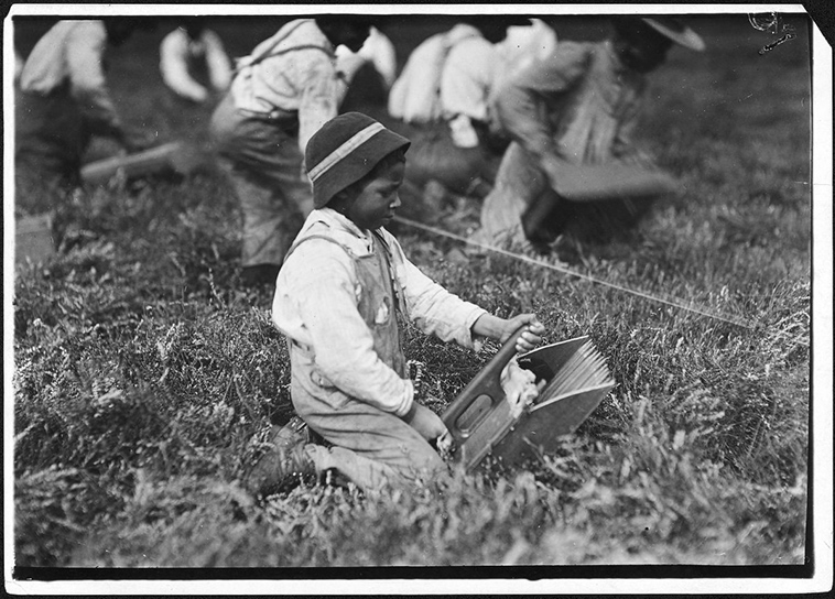 child labor usa