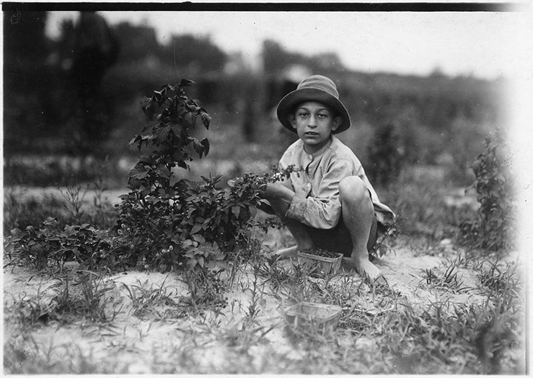 child labor usa