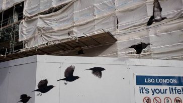 illusion photography perfectly timed photos