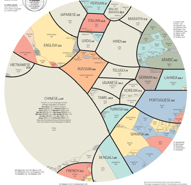 most common languages infographic