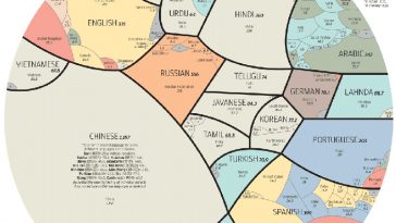 most common languages infographic