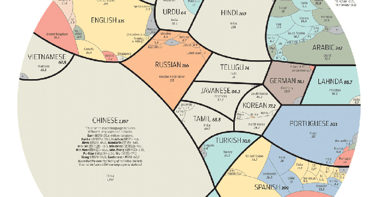 most common languages infographic