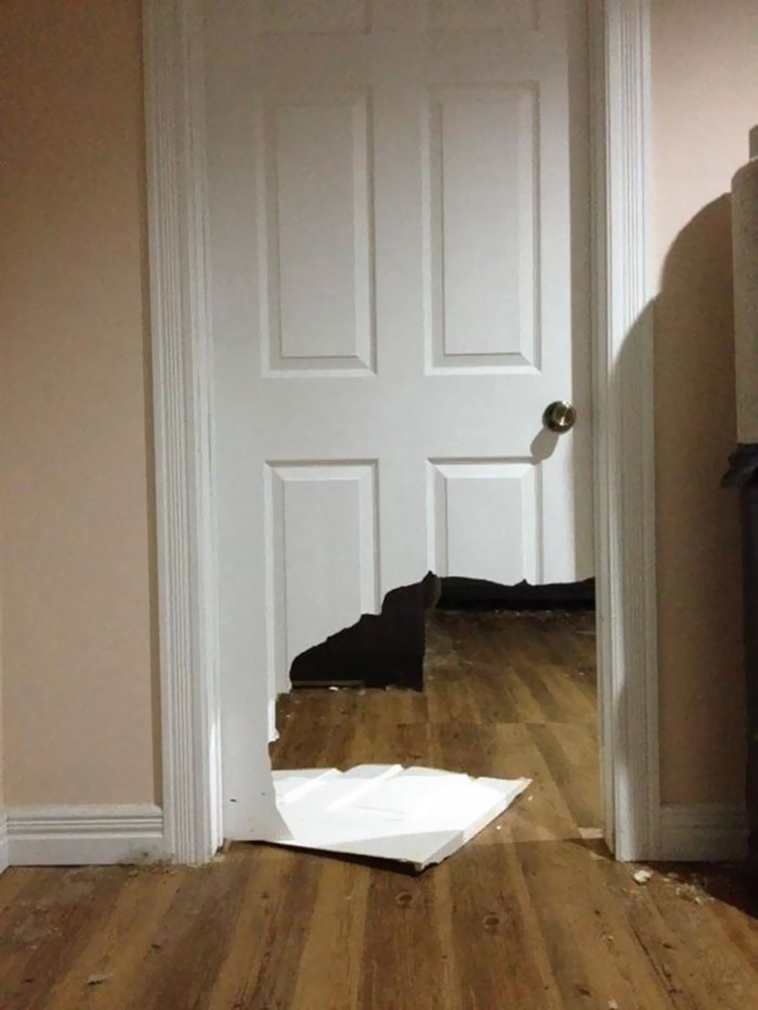 people-left-their-pets-alone-totally-regretted-it