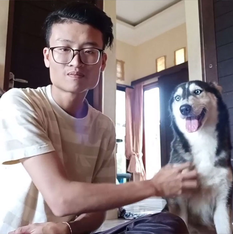 sick husky extremely change beautiful dog
