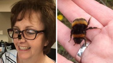 woman rescues wingless queen bee