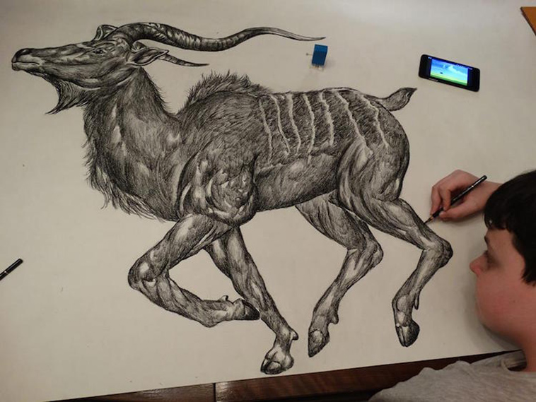 young genius draws incredible animals from memory
