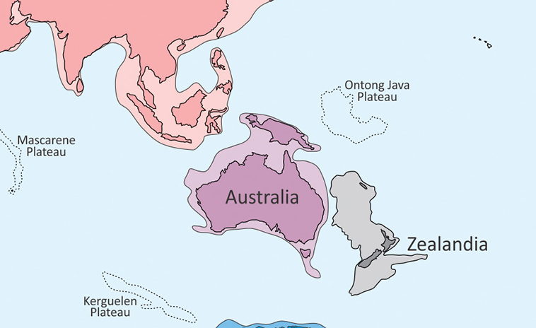 zelandia new continent