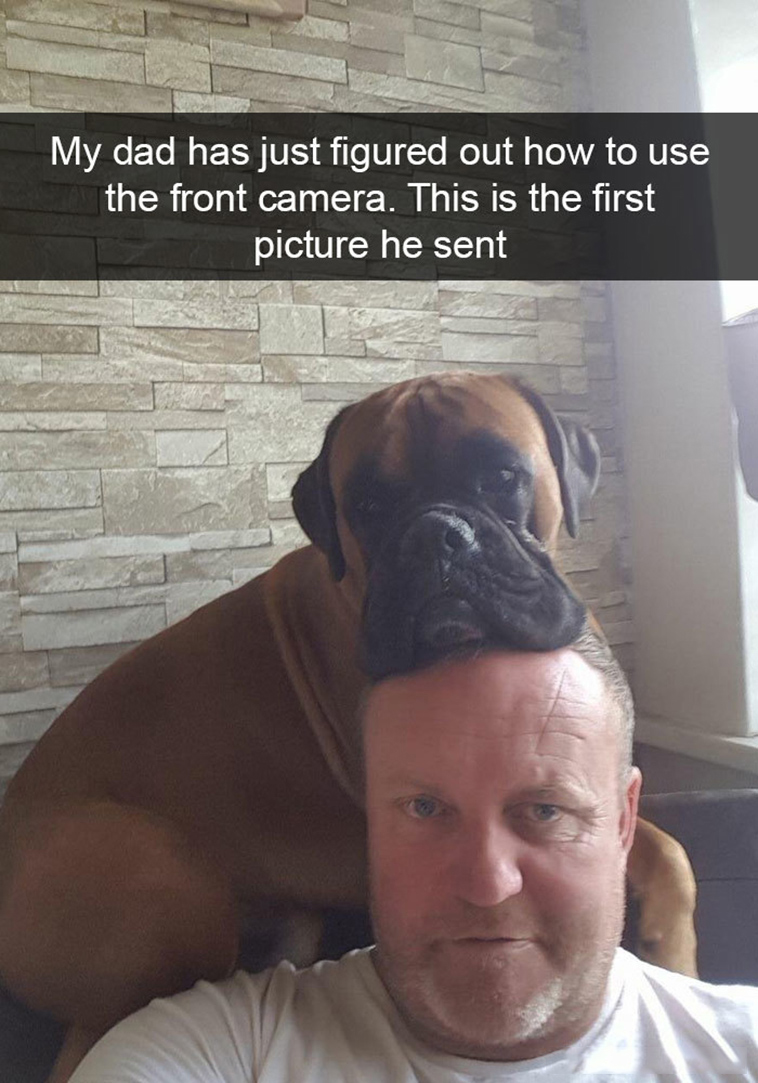 funny-dogs-snapchat-pics