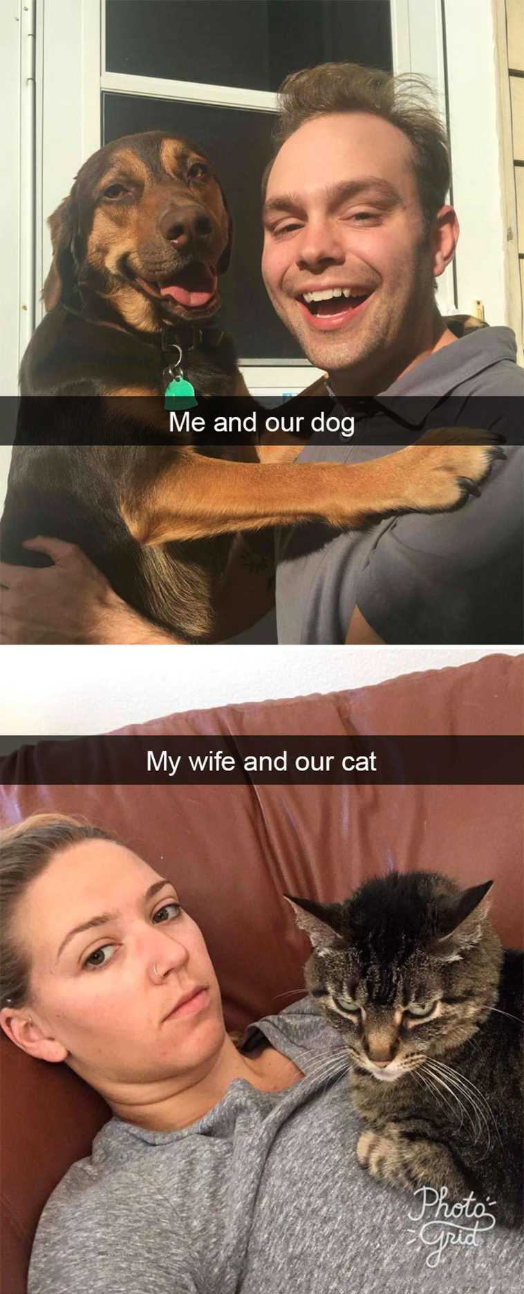 funny-dogs-snapchat-pics