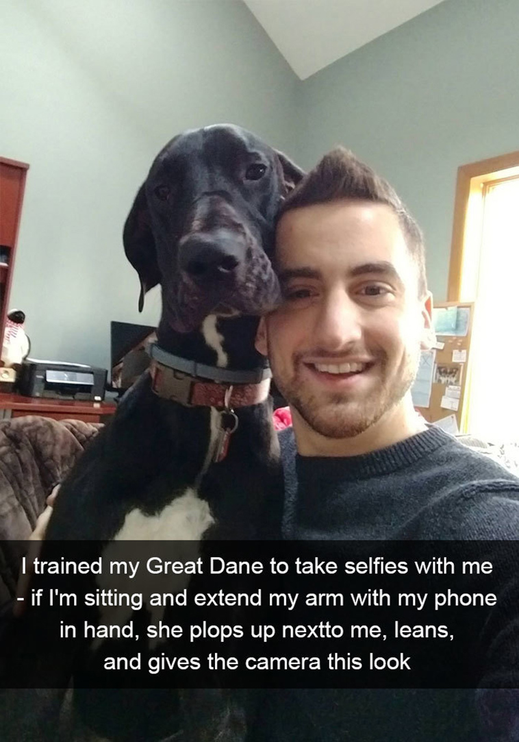 funny-dogs-snapchat-pics