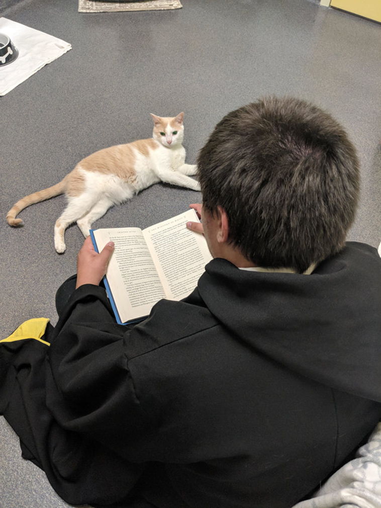 teen reads harry potter to blind shelter cat