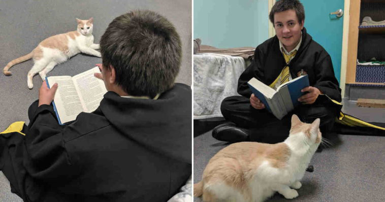 teen reads harry potter to blind shelter cat