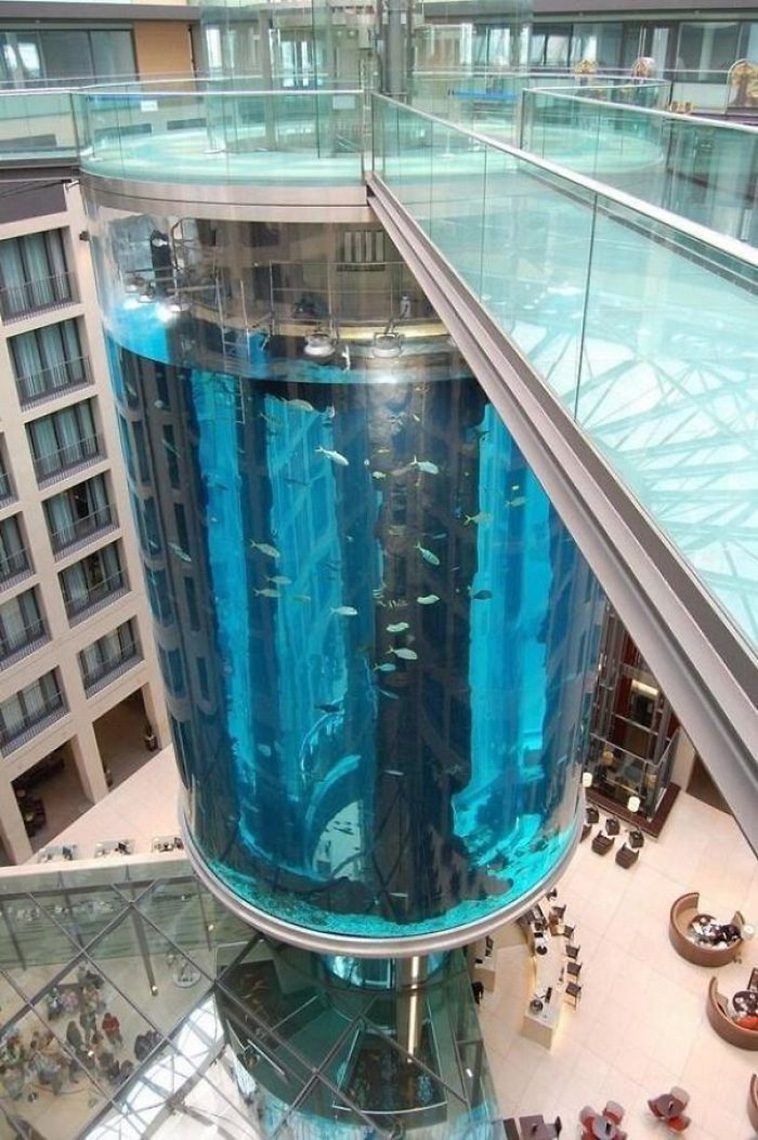 Elevators Genius Design Solutions
