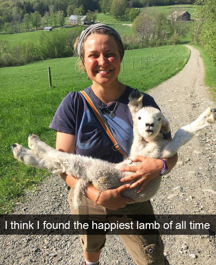 funny-animal-snapchats