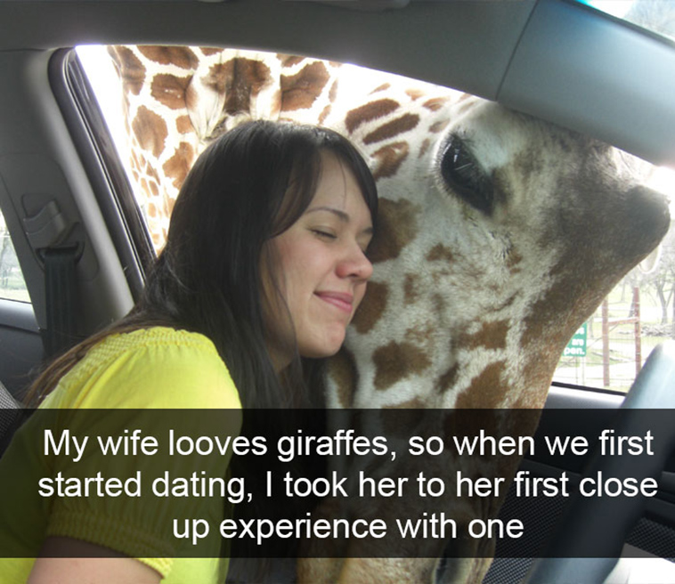 funny-animal-snapchats