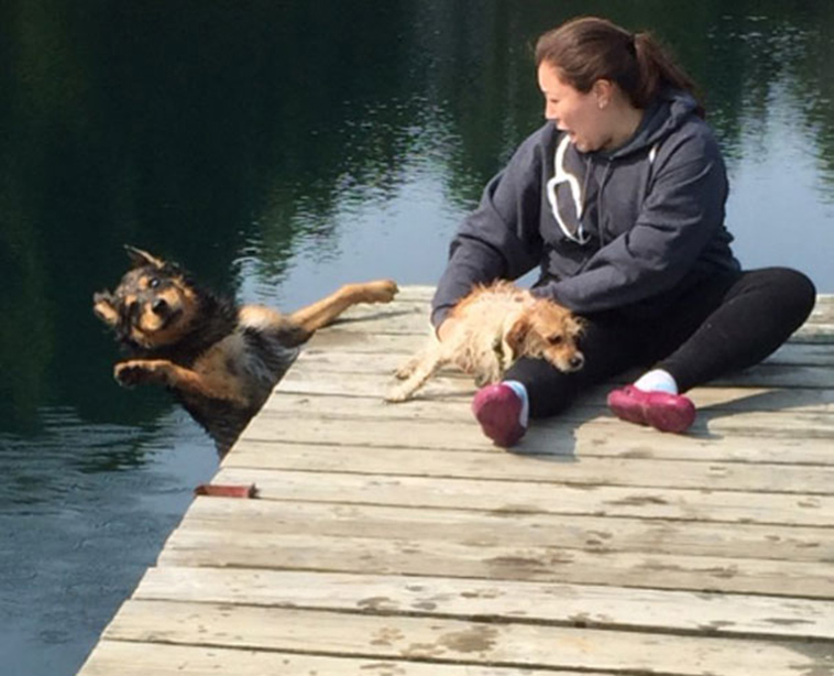 funny-silly-dogs