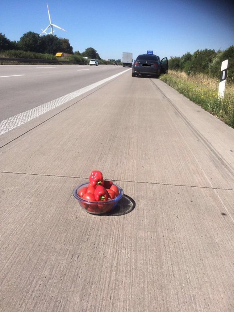funny-strange-things-on-the-road