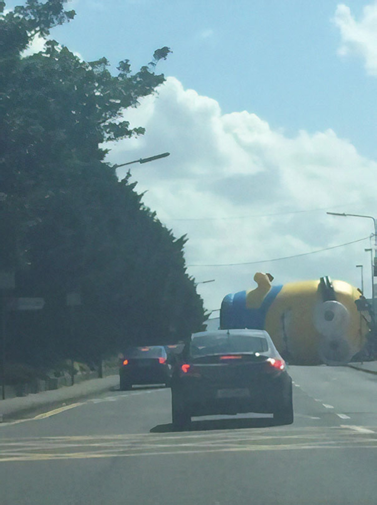 funny-strange-things-on-the-road