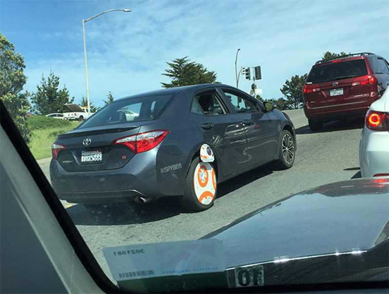 funny-strange-things-on-the-road