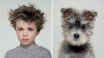 dogs-look-like-owners
