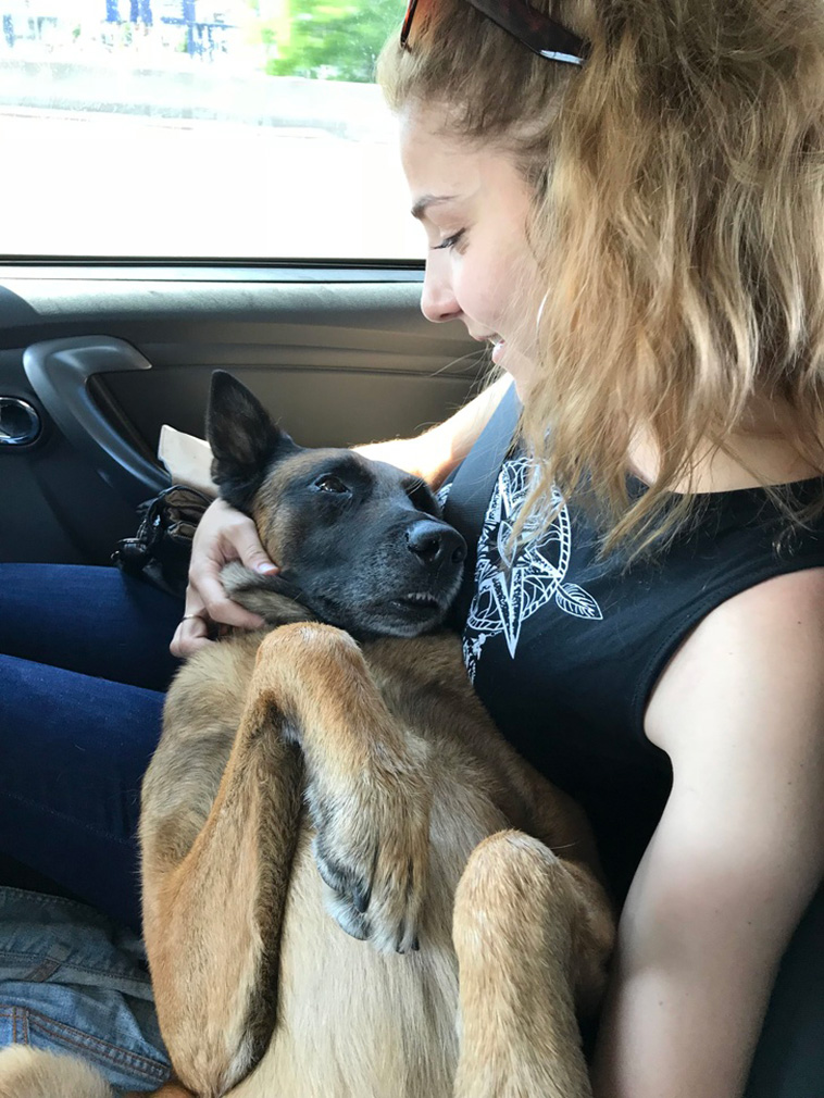 Dog Photos That Are Better Than Any Antidepressants 