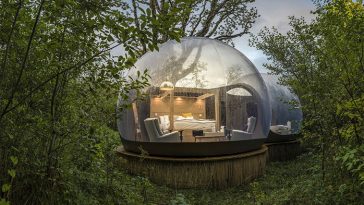 Tiny Bubble Domes